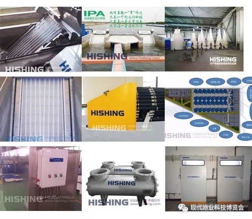 智能科技引領(lǐng)漁業(yè)新篇章 無(wú)人艇、增氧機(jī)、循環(huán)水與自動(dòng)喂料設(shè)備亮相現(xiàn)代漁業(yè)科技博覽會(huì)